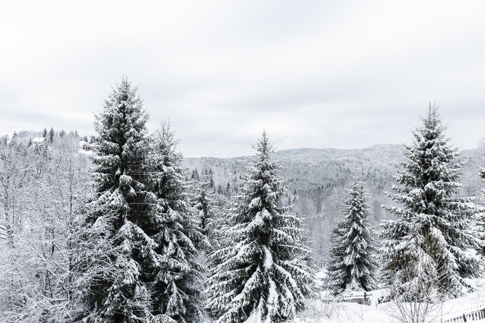 Glecer Kop, Cozy Design Apartment A5, Free Parking Garage Kopaonik Exterior foto